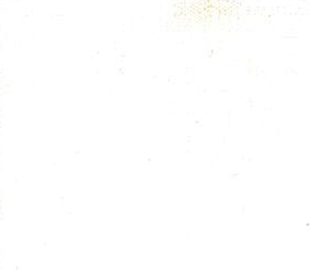 Poplin Polycotton - 80% Polyester & 20% Cotton - 44" (width) - 25 bone ivory
