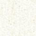 TRIPLE S - Flutter Quilt Backing Fabric - 280Cm Width Printed - cream