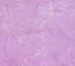 Batik - Tonal Blend - ABS026-Blossom1