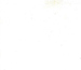 Poplin Polycotton 44  Width - 25 bone ivory